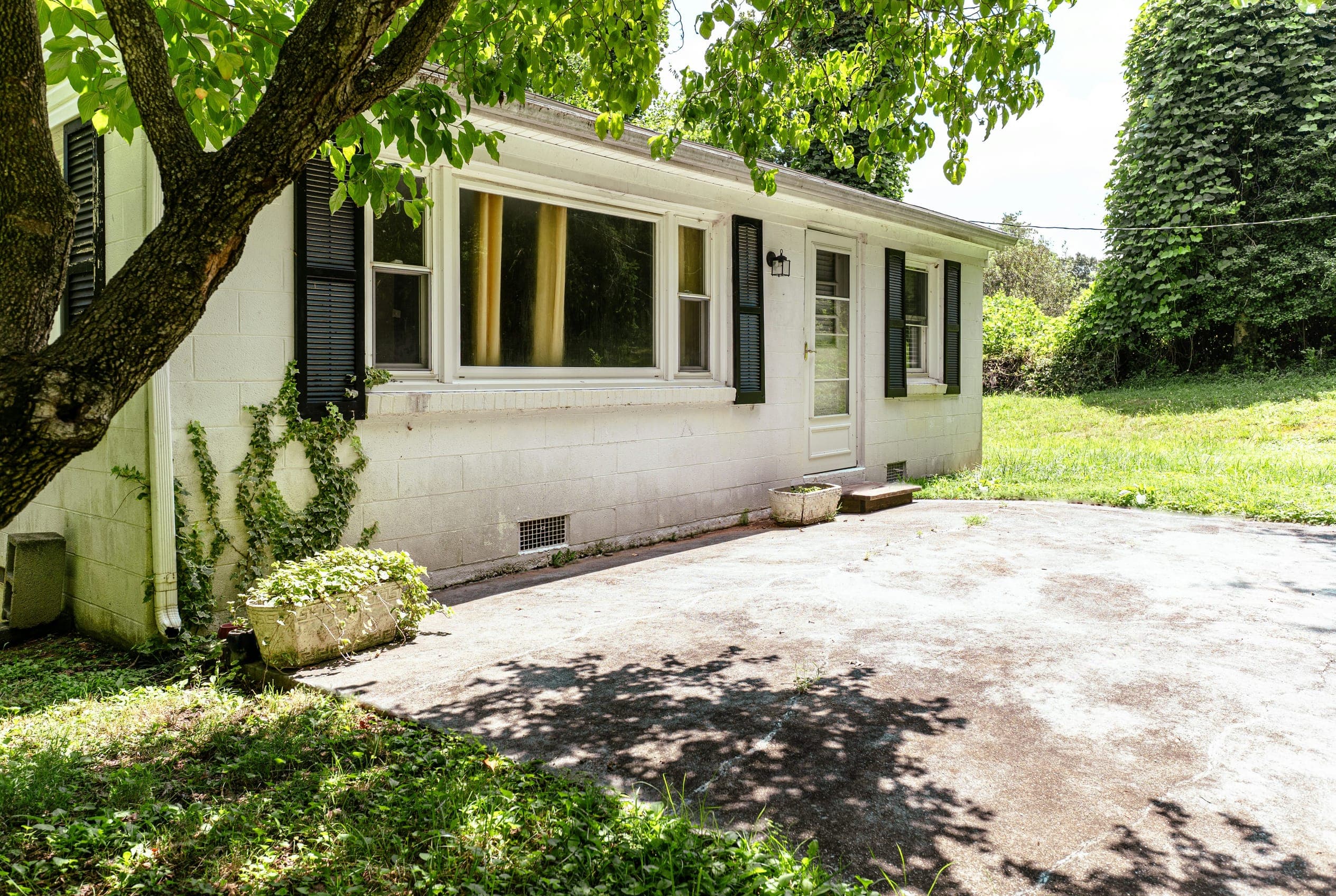 Before: the backyard photo, a concrete patio beside a white house