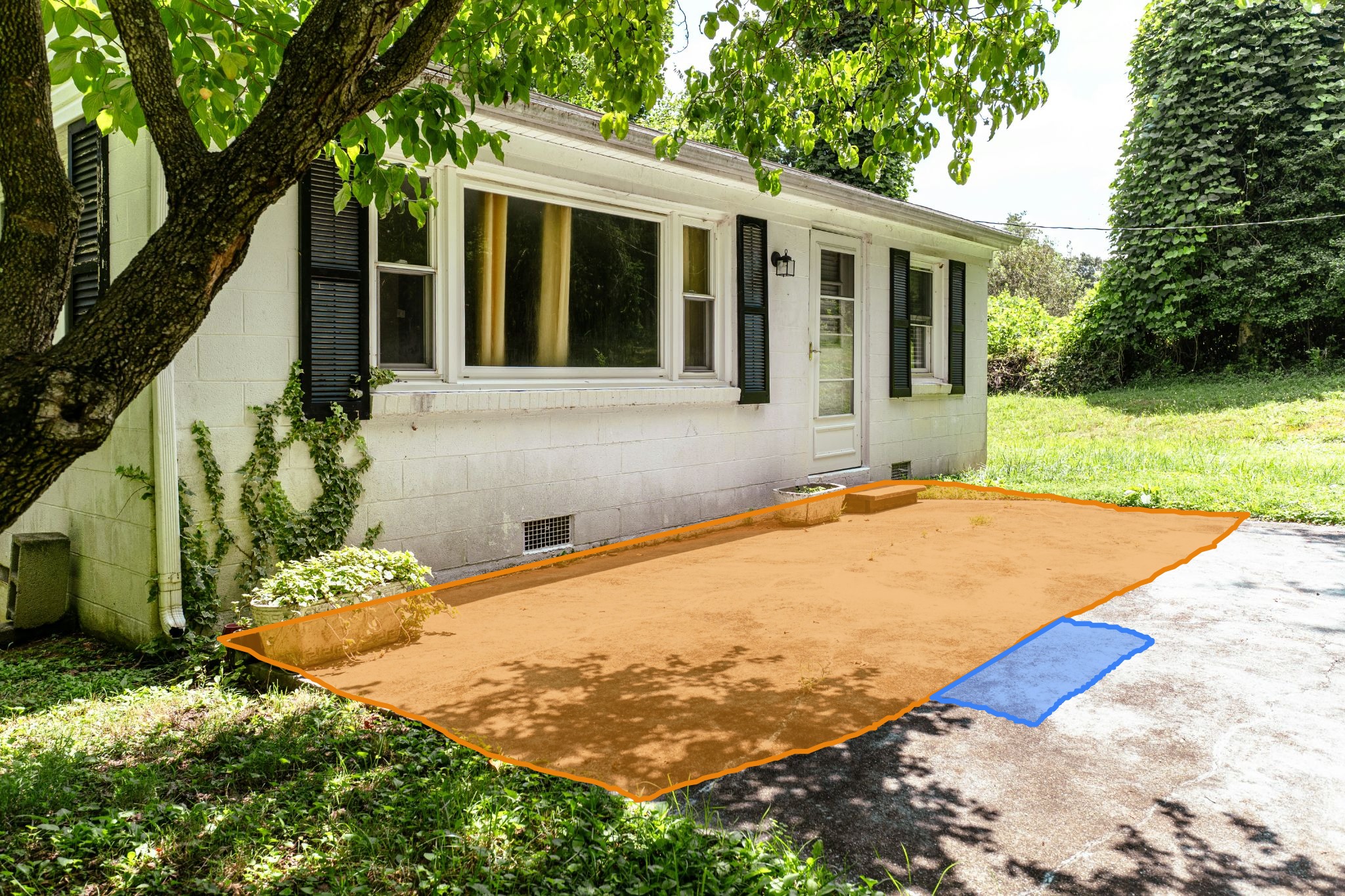 Original backyard photo